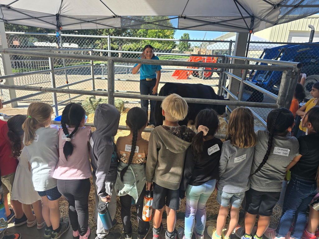 1st Grade Ag Expo