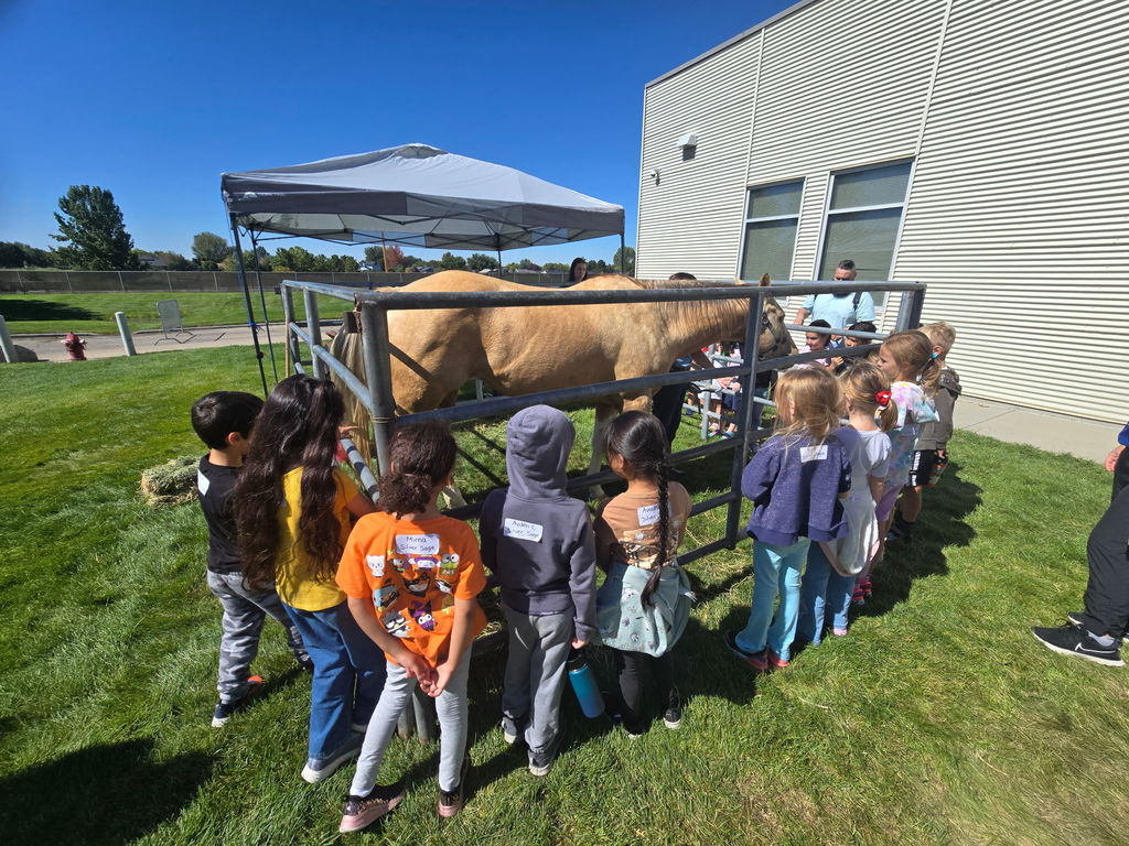 1st Grade Ag Expo