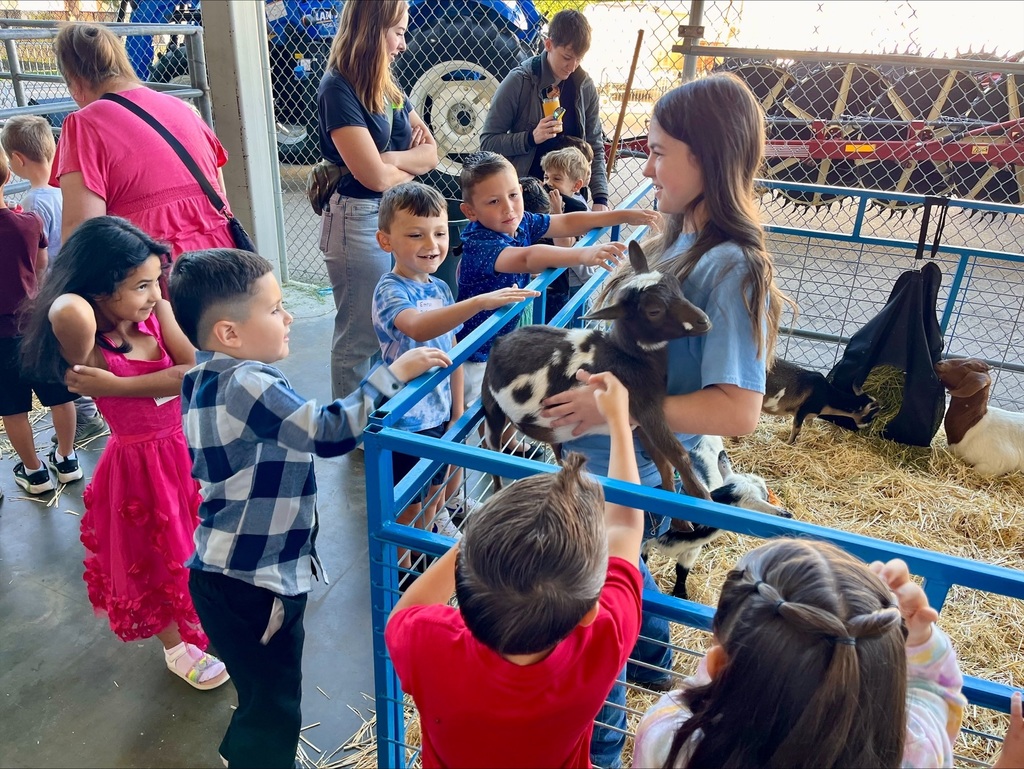 Children petting a goat