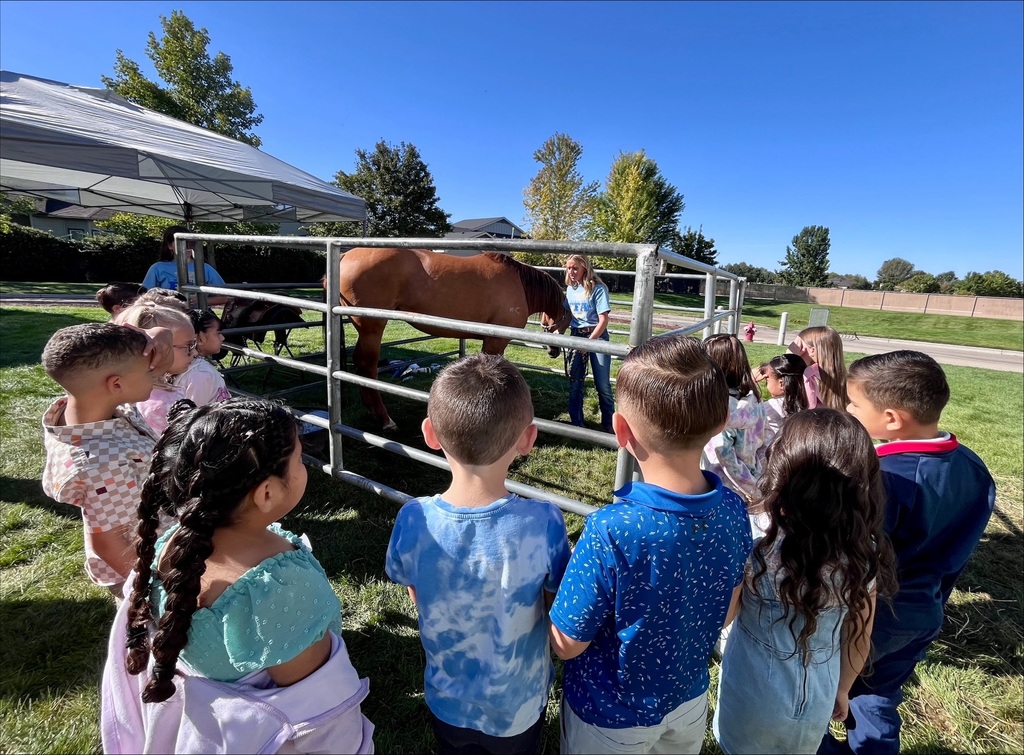 children with a horse