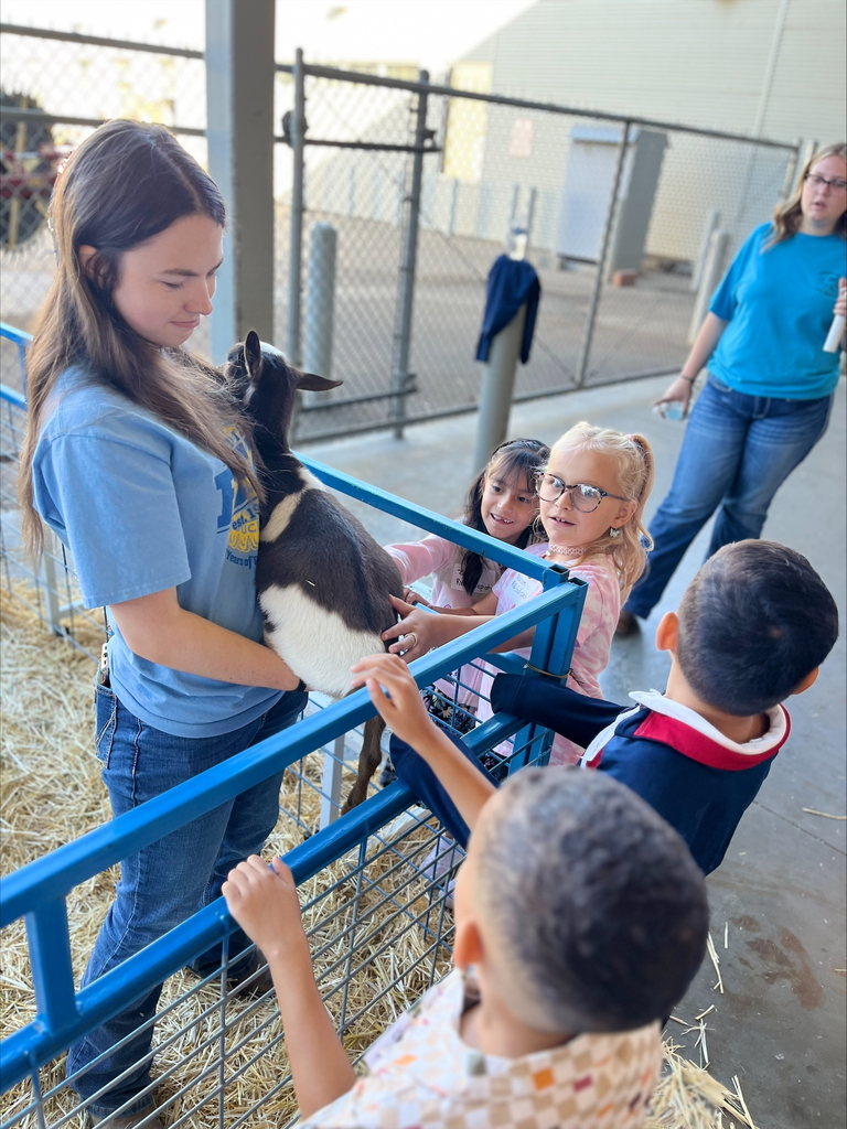 Children petting a goat