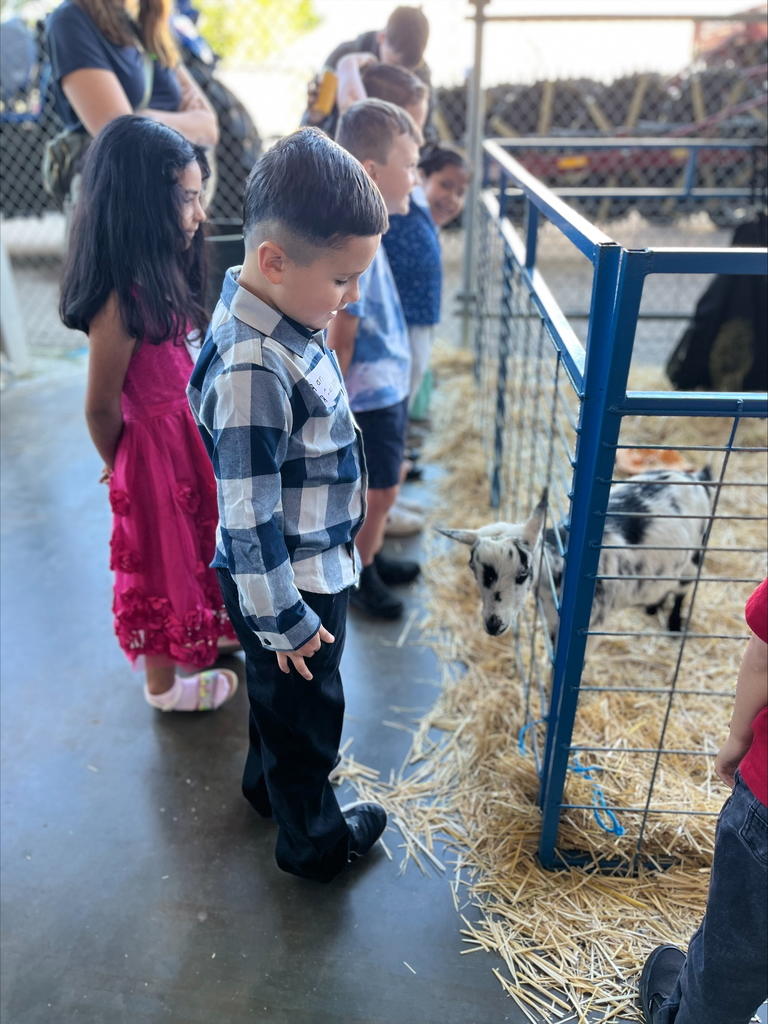 Children looking at a goat