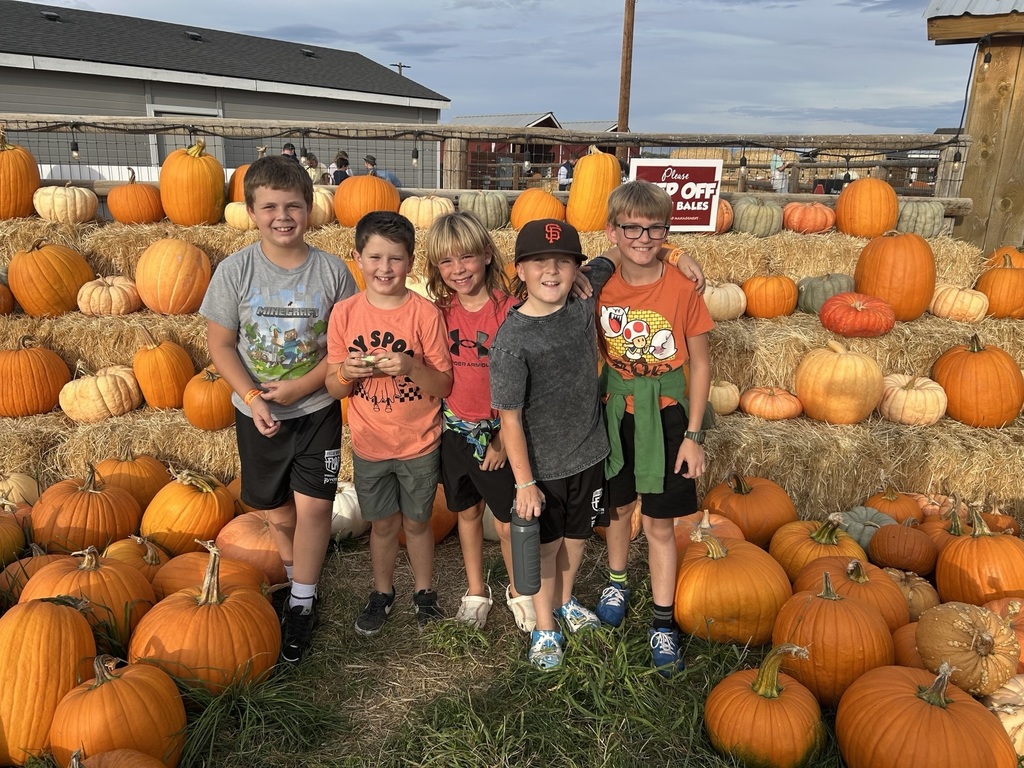 a photo of 5 students surrounded by pumpkins 