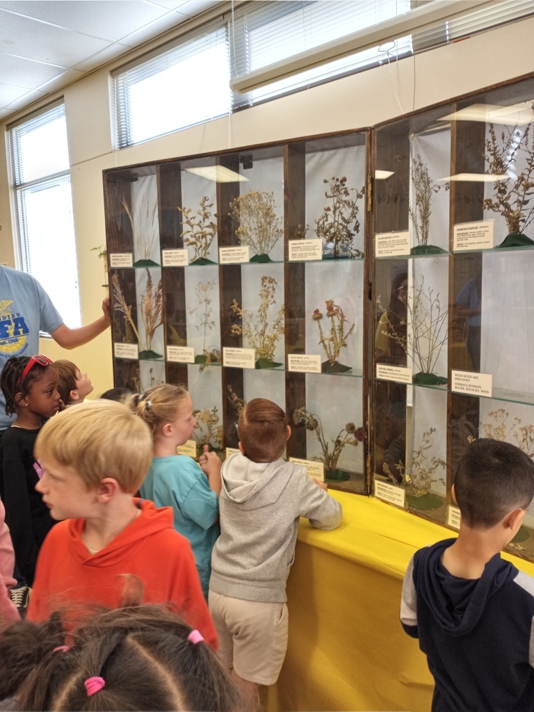 1st graders at the Ag Expo