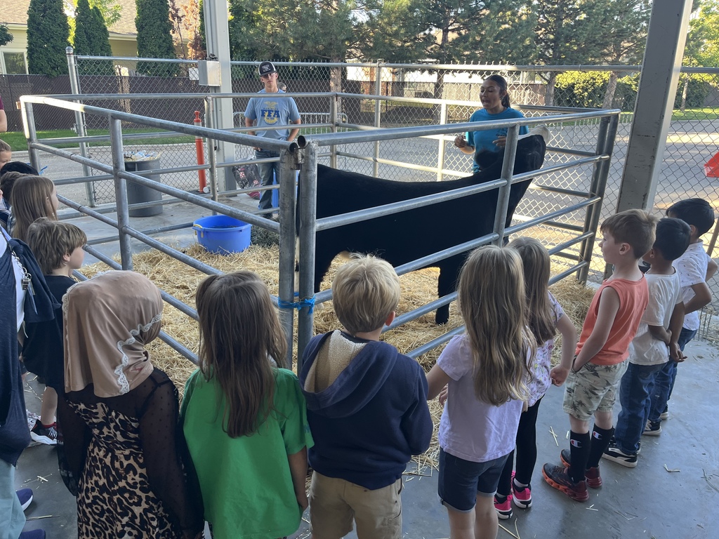 1st graders with a cow at the Ag Expo