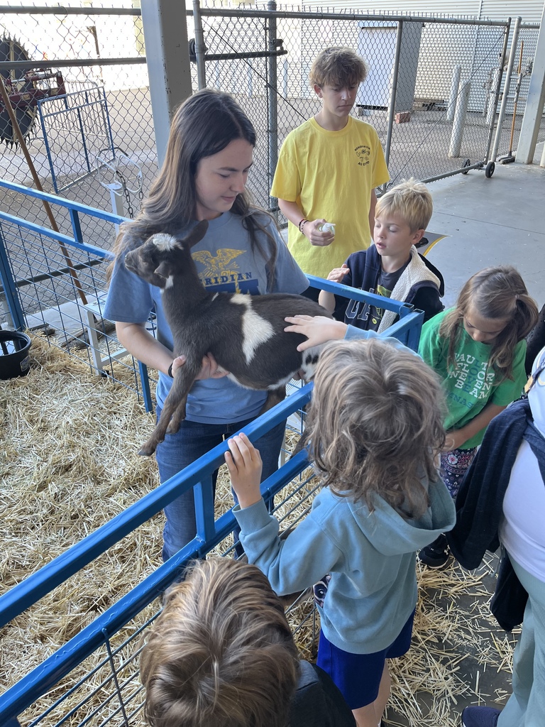 1st graders petting a goat