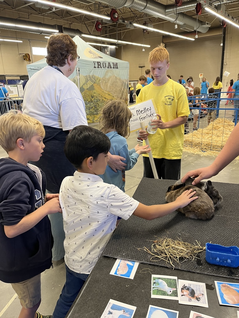 1st graders petting a bunny