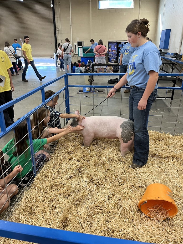 1st graders petting a pig