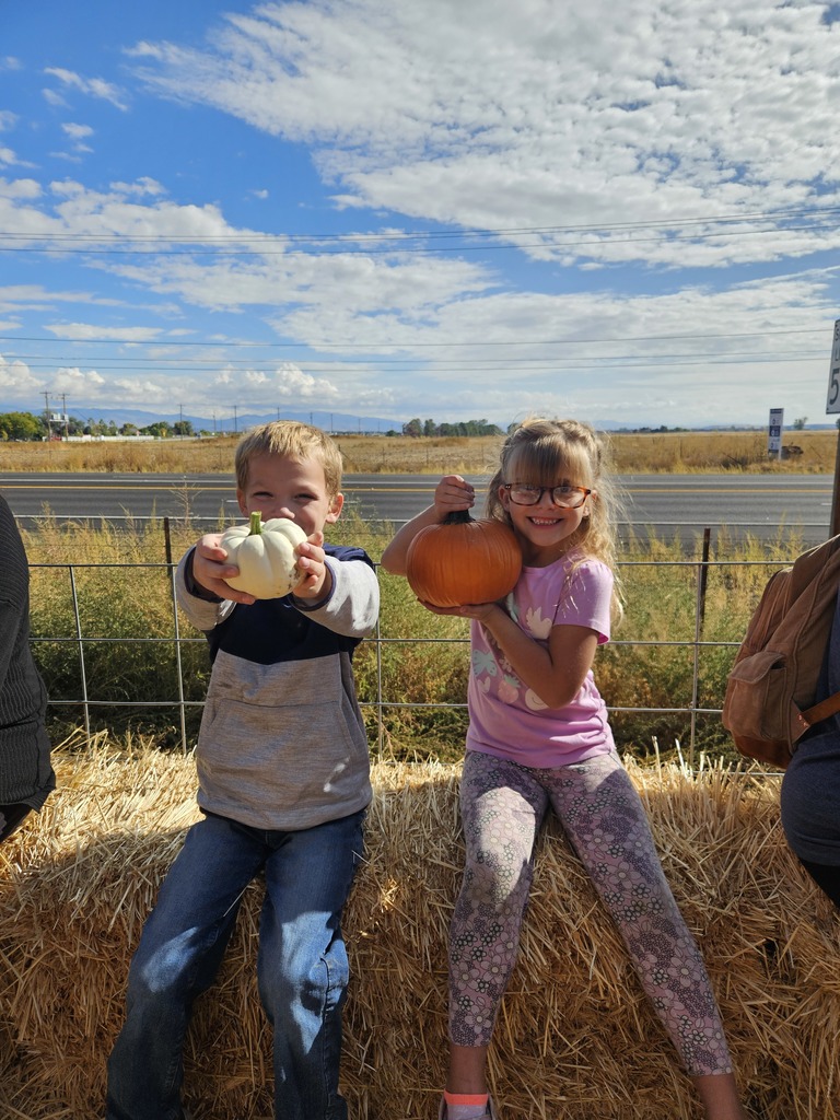 Pumpkins
