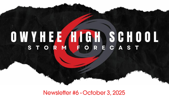 newsletter #6