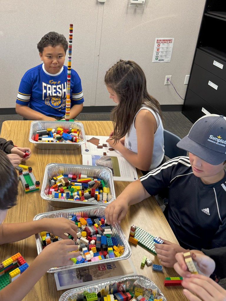 STEM Lunch