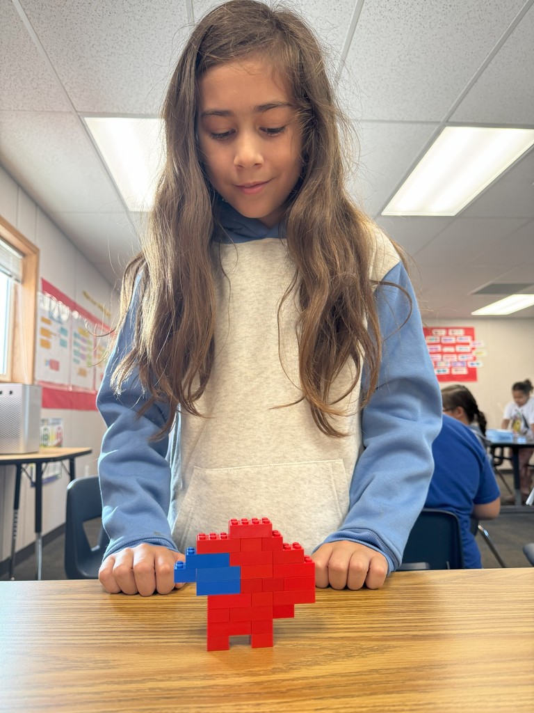 STEM Lunch