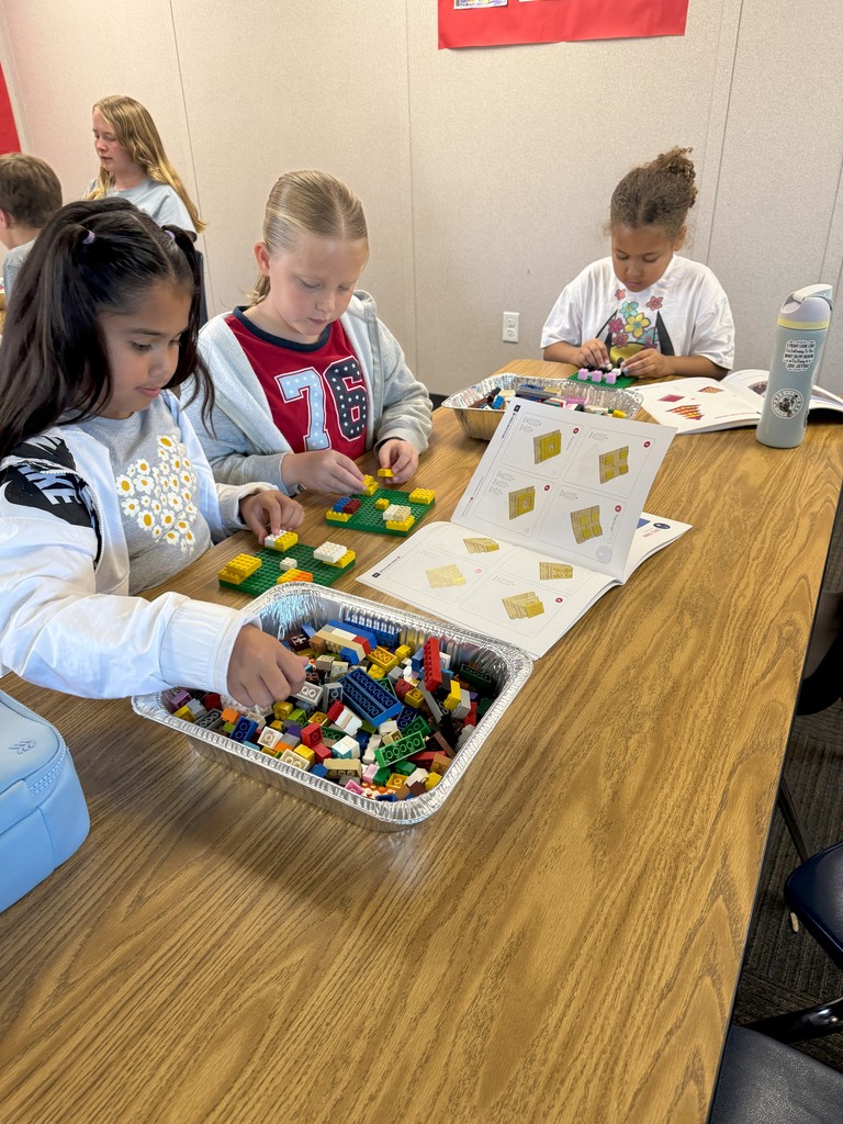 STEM Lunch