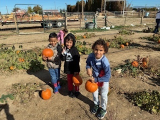kids in pumpkin patch