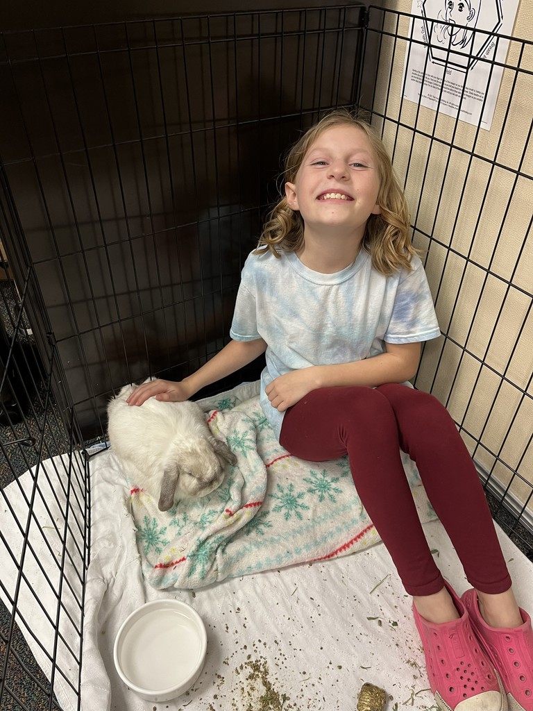 4th grade student petting the bunny