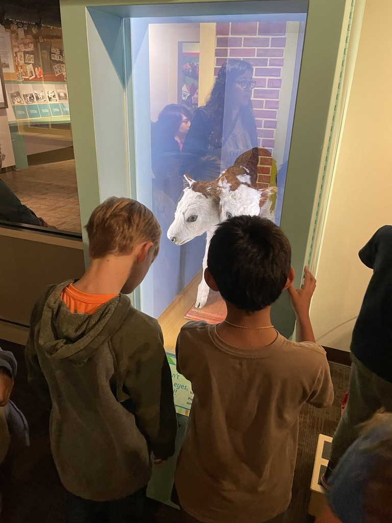 Students looking at the two headed calf at the museum