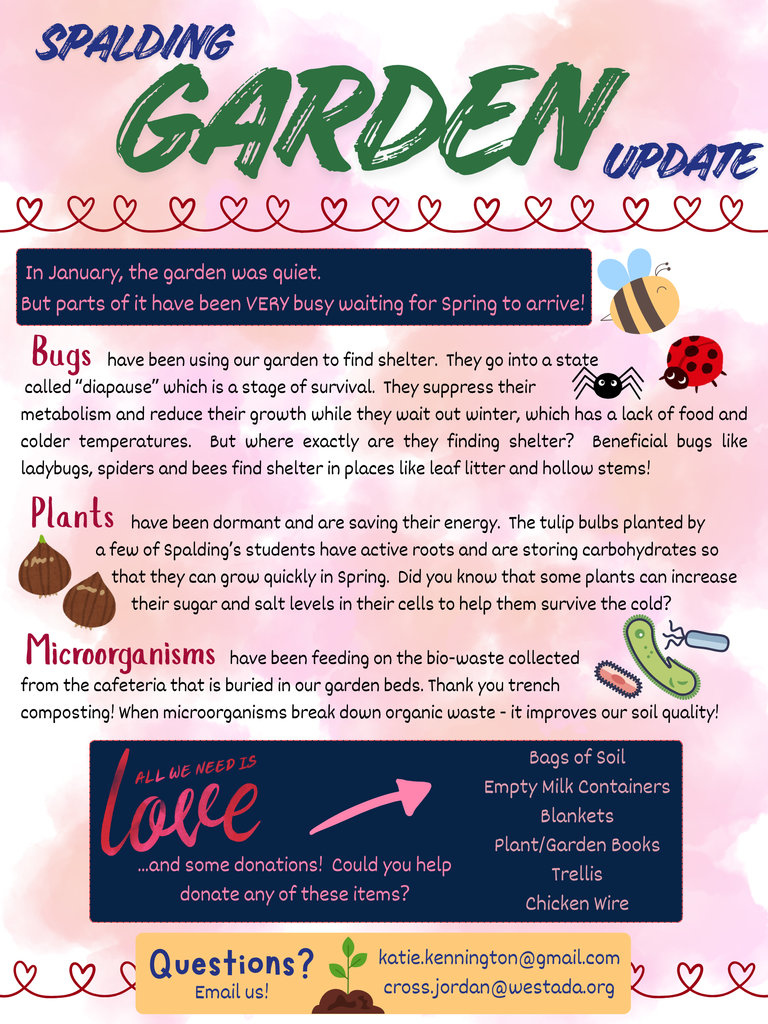 Spalding Garden update 