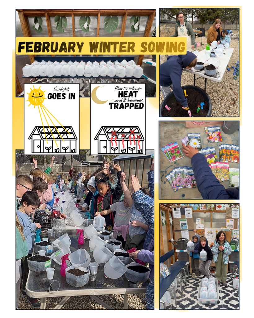 2nd Graders learned about greenhouses