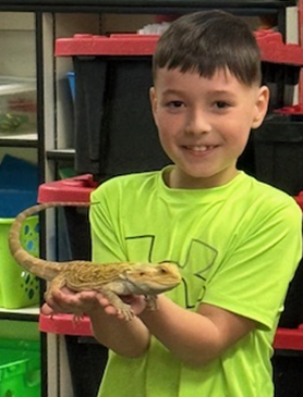 Reptile zoo visits 2nd grade classroom. Students holding snakes and petting a turtle.
