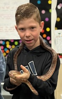 Reptile zoo visits 2nd grade classroom. Students holding snakes and petting a turtle.