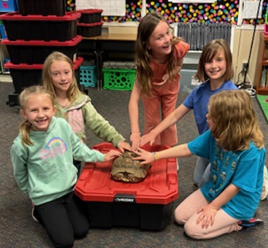 Reptile zoo visits 2nd grade classroom. Students holding snakes and petting a turtle.