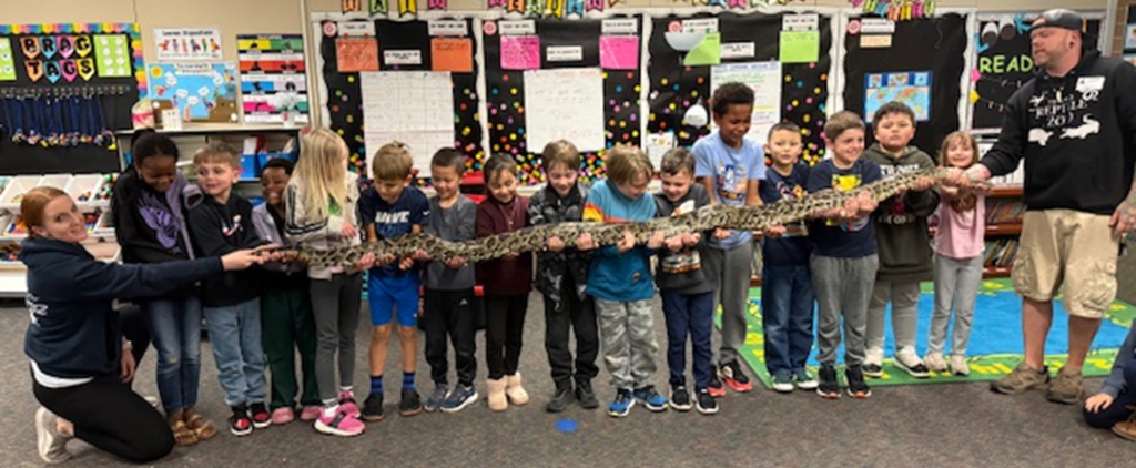 Reptile zoo visits 2nd grade classroom. Students holding snakes and petting a turtle.