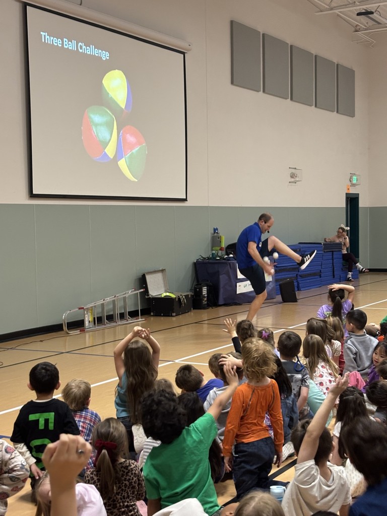 3 ball challenge with juggling