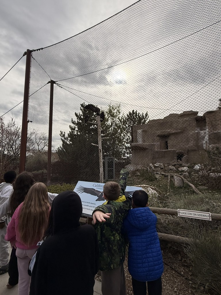 2nd graders view a Californian Condor at World's Center for Birds of Prey