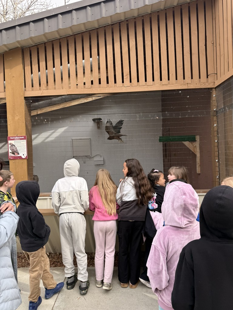 2nd graders inside World's Center for Birds of Prey