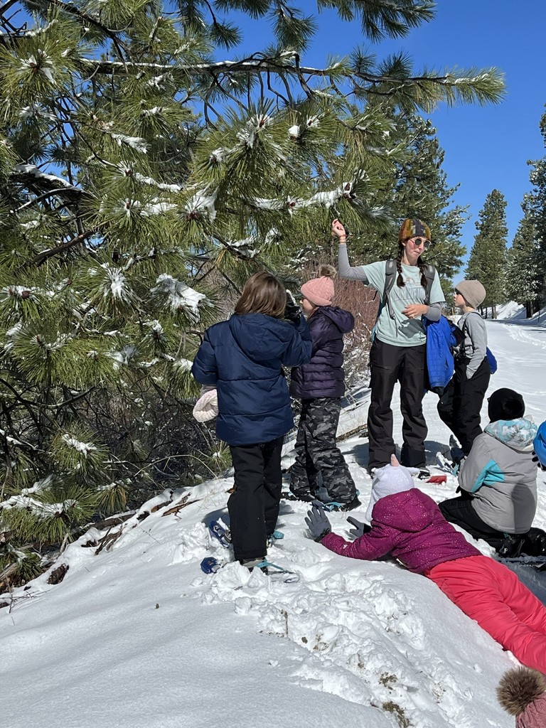 4th graders snow shoeing and learning that pine needles contain vitamin C