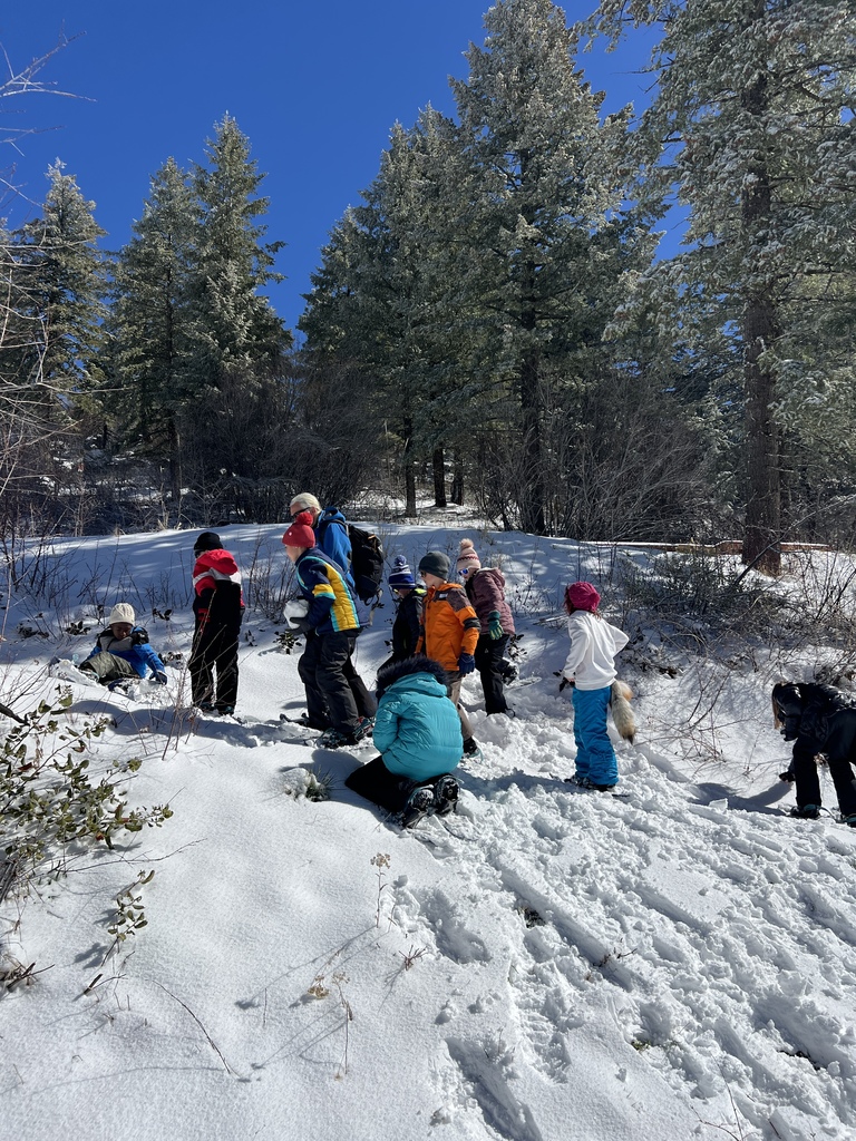 4th graders snow shoeing  and digging in the snow
