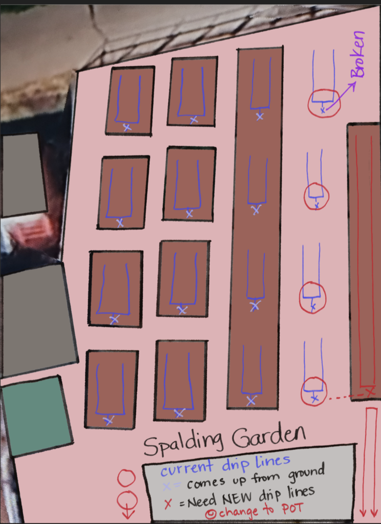 Garden drip line map