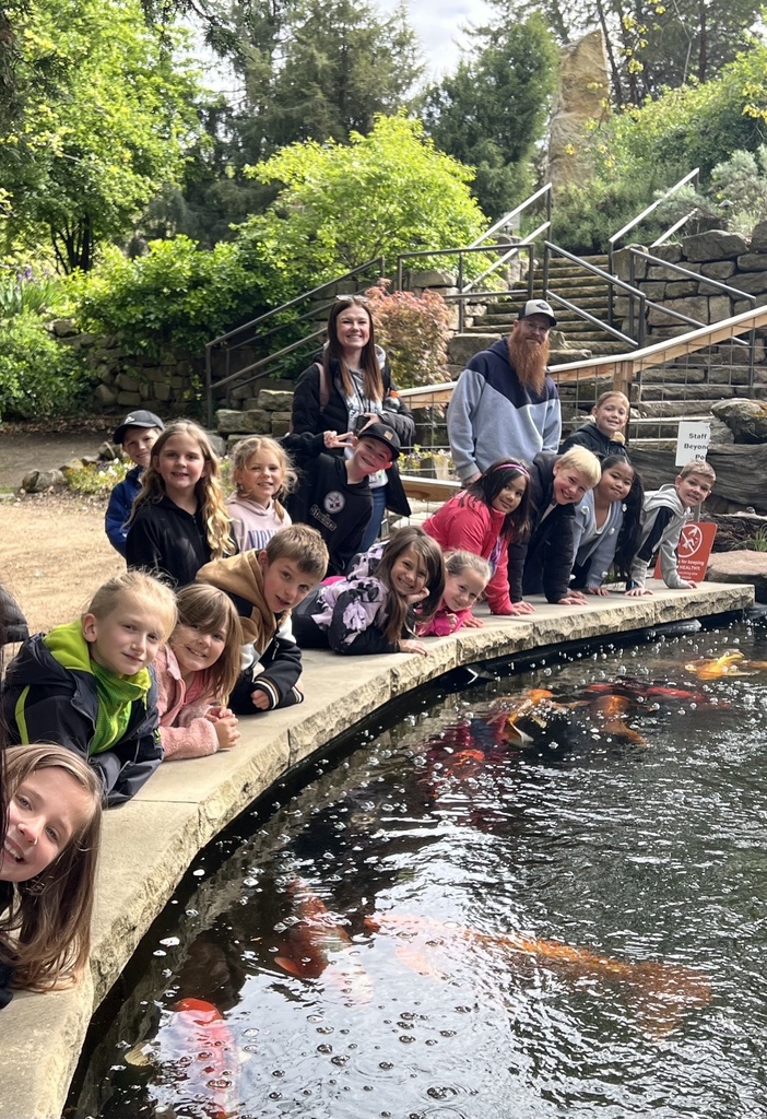 kids observing fish in a fountain 