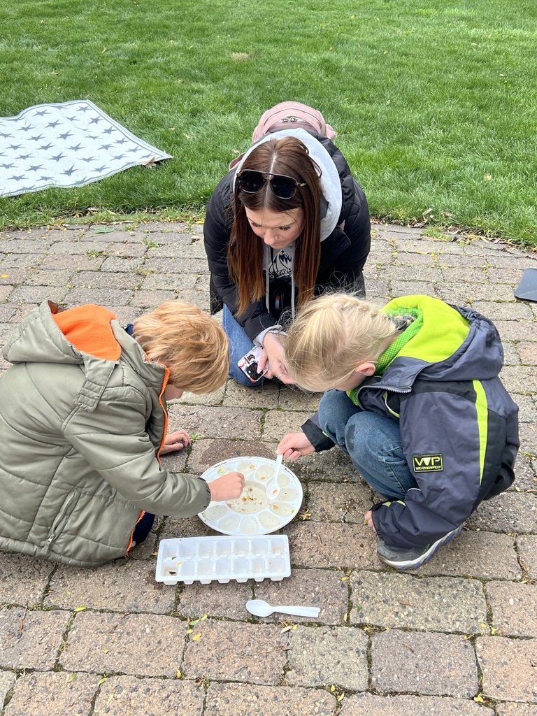 kids observing animal food outside