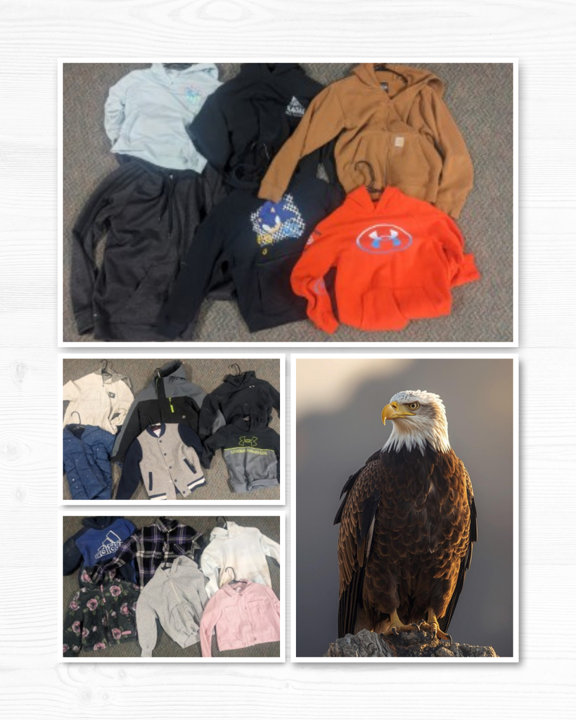 lost&found