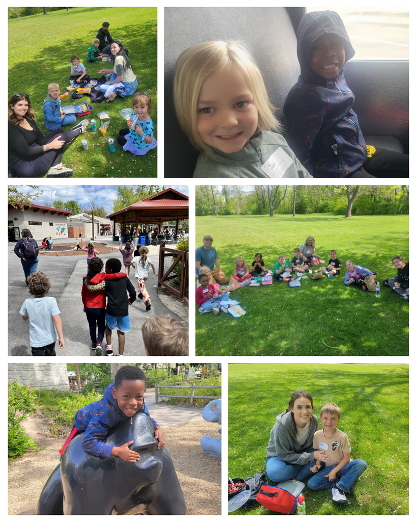 photo collage of kindergarten at the zoo