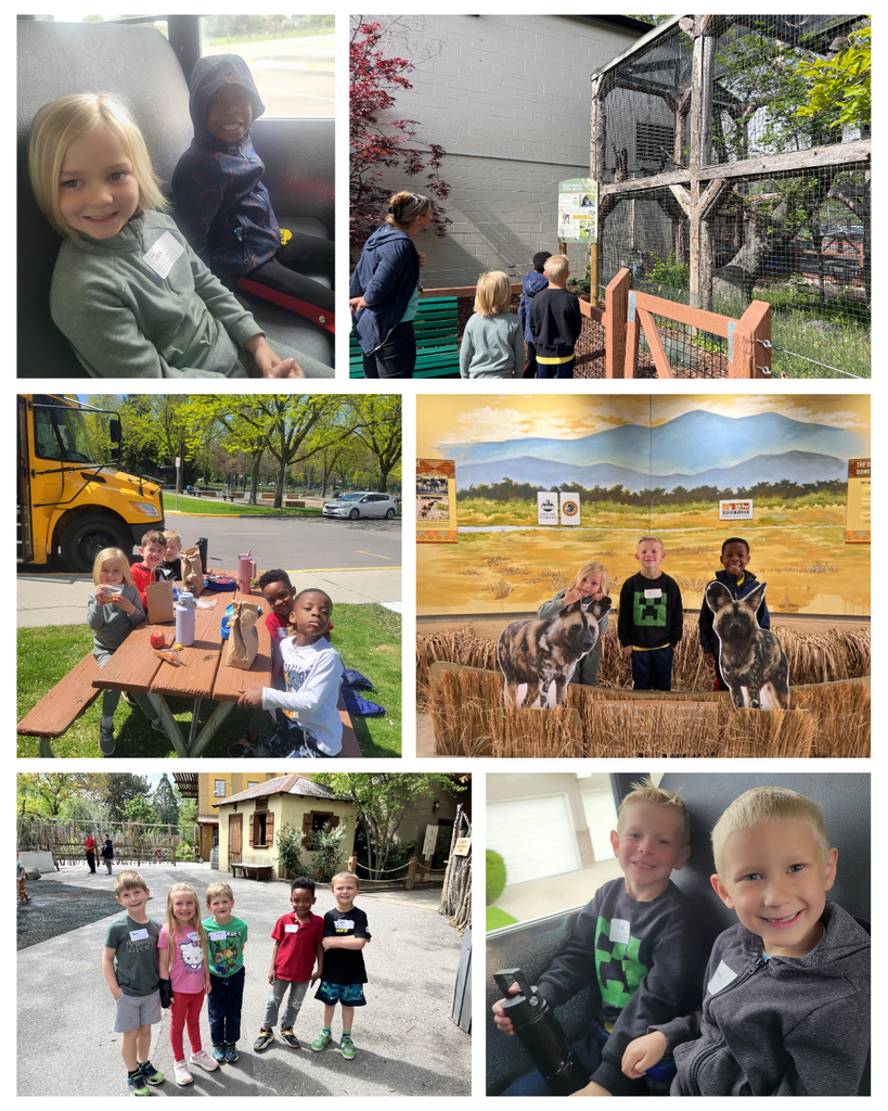 photo collage of kindergarten at the zoo