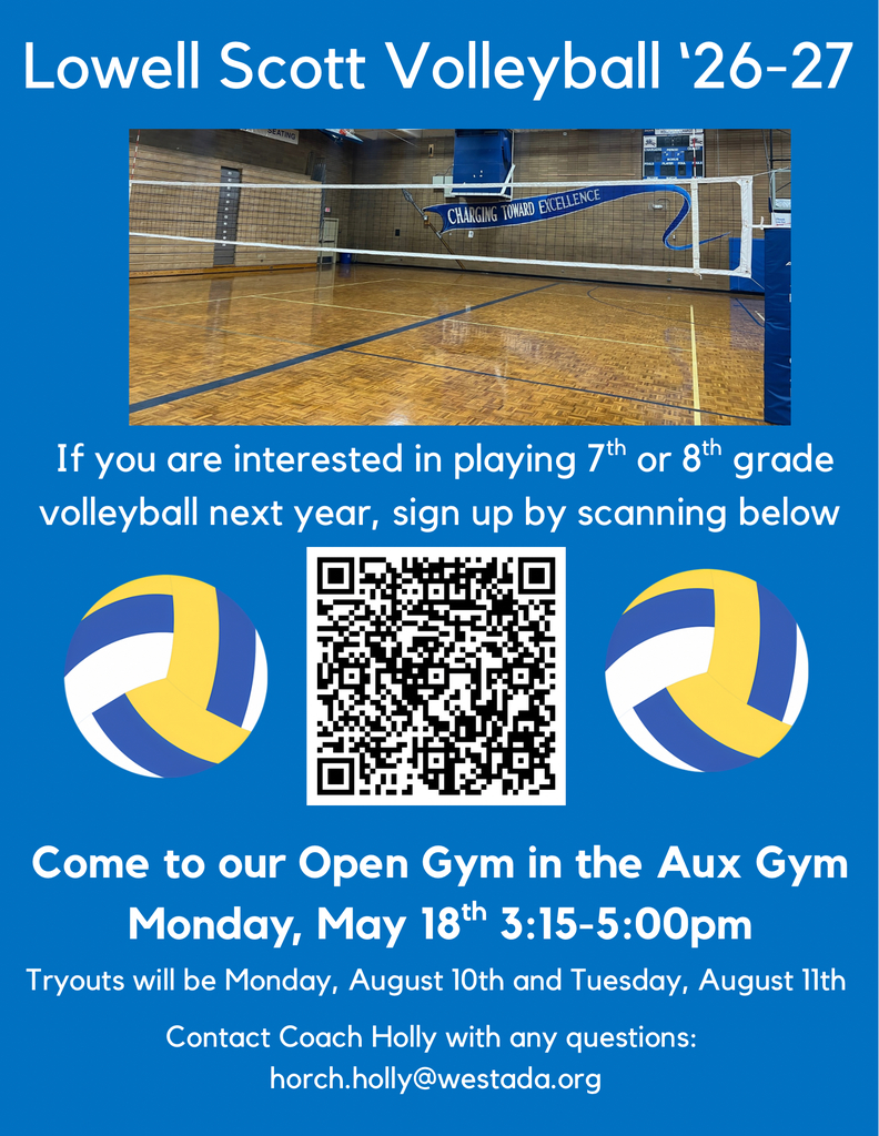 Volleyball Flyer