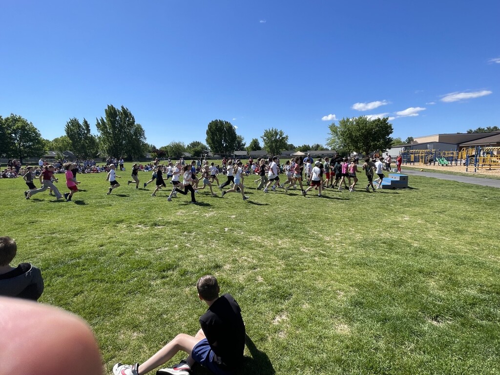 Field Day