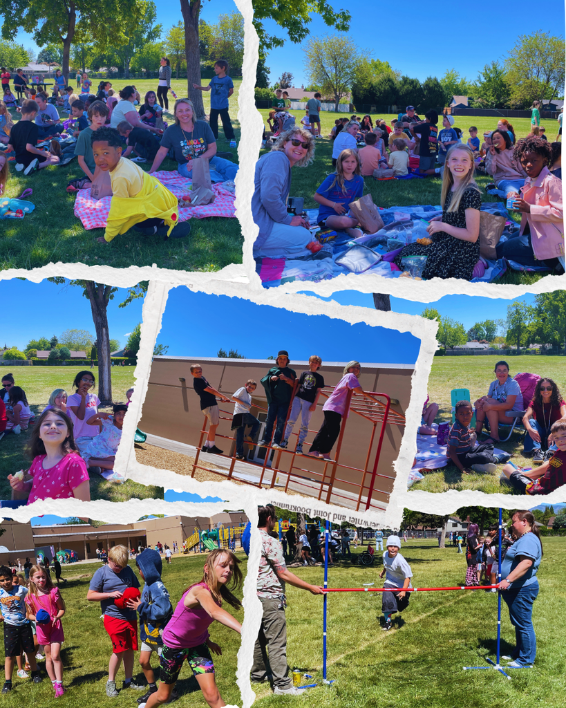 photo collage of last day activities on the field