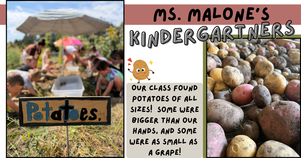 Kinder's found potatoes in our garden