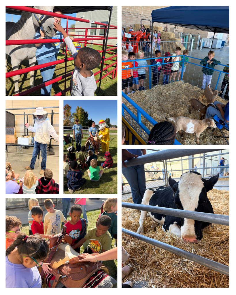 Photo collage of 1st graders at the Ag Expo including petting a horse and looking at farm animals.