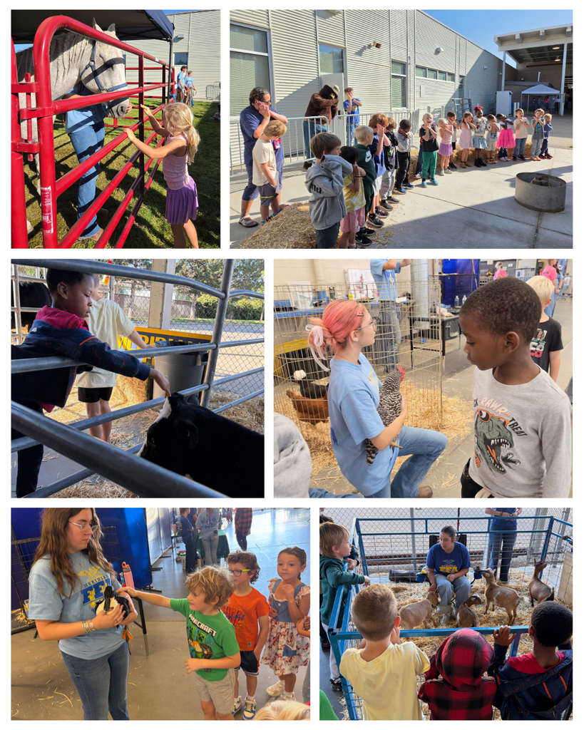 Photo collage of 1st graders at the Ag Expo including petting a horse and looking at farm animals.