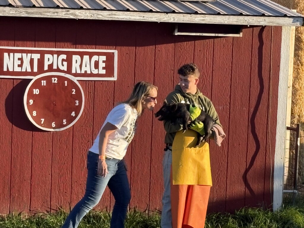kiss the pig