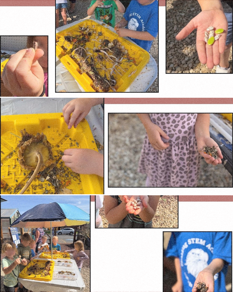 kinders in the garden