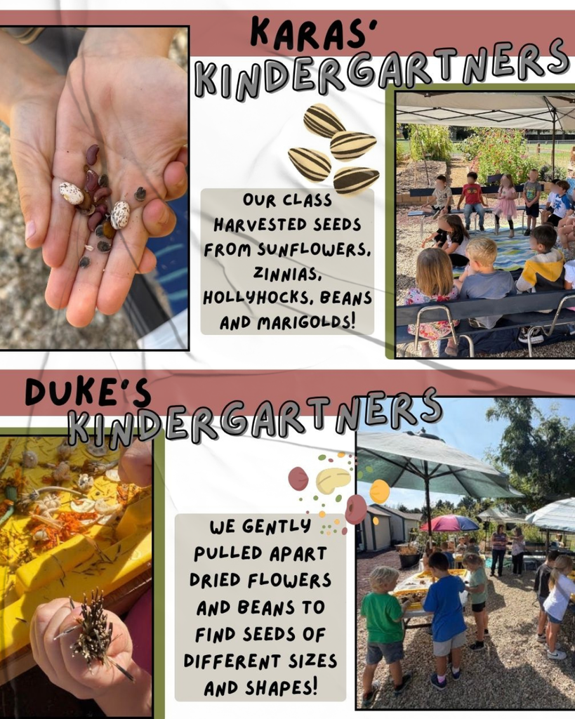Kinders in the garden