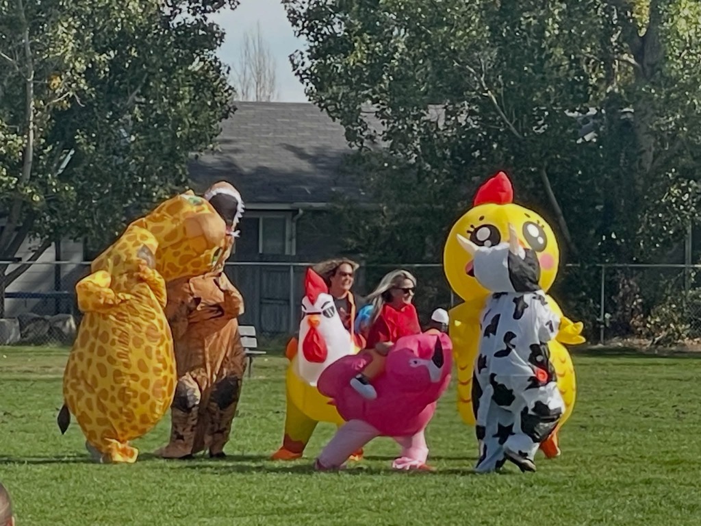 fun run