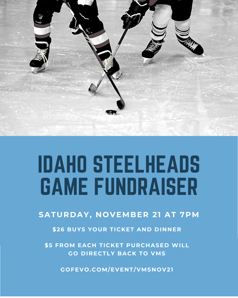 Idaho Steelheads Game