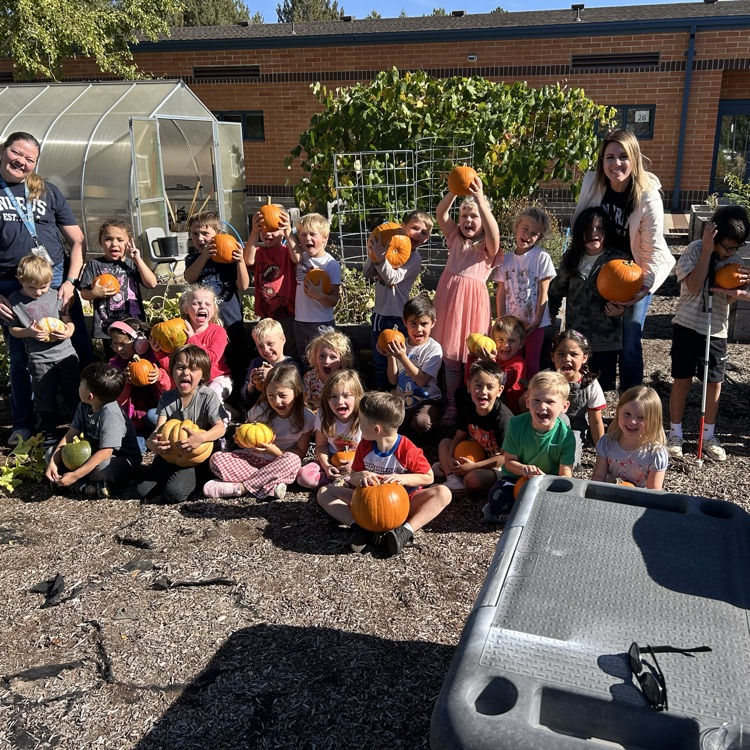 pumpkin patch 