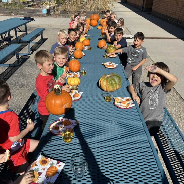pumpkin patch 